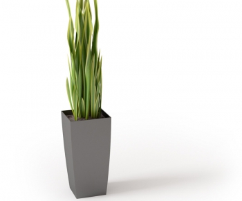 Modern Potted Green Plant-ID:516016943