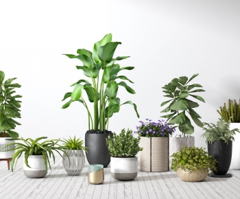 Modern Potted Green Plant-ID:156431414