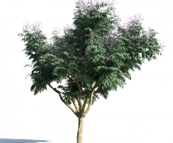 Modern Tree/shrub/grass-ID:930869247