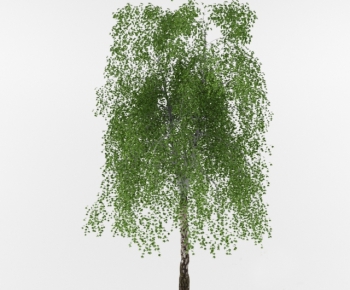 Modern Tree-ID:451826635