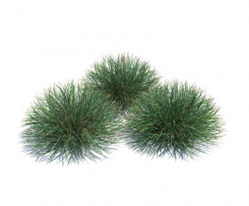 Modern Tree/shrub/grass-ID:996369435