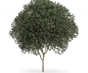 Modern Tree/shrub/grass-ID:170525386