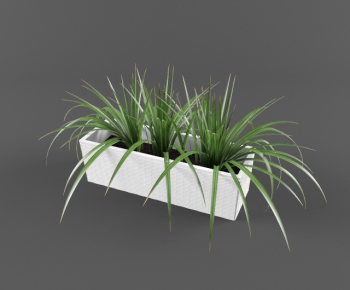 Modern Potted Green Plant-ID:246230283