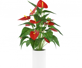 Modern Potted Green Plant-ID:237826217