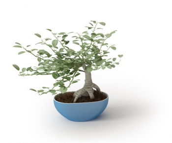 Modern Potted Green Plant-ID:527287594
