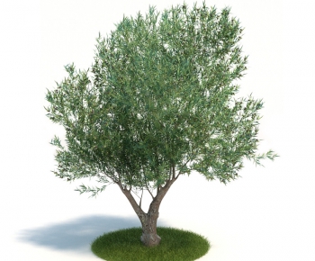 Modern Tree/shrub/grass-ID:559045575
