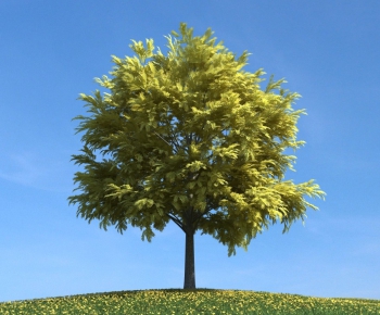 Modern Tree/shrub/grass-ID:323616715