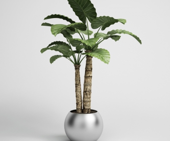Modern Potted Green Plant-ID:822428423