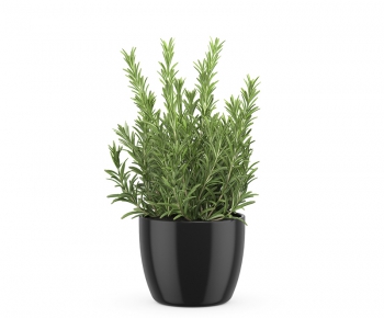 Modern Potted Green Plant-ID:867969892
