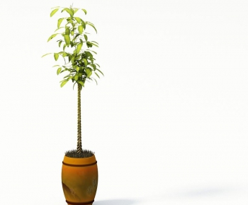 Modern Potted Green Plant-ID:750757718