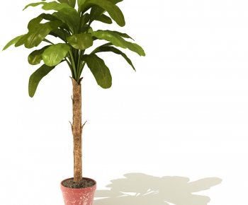 Modern Potted Green Plant-ID:435747359