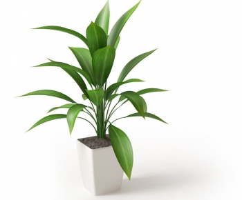 Modern Potted Green Plant-ID:538624646