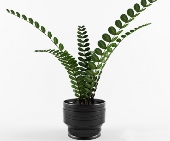Modern Potted Green Plant-ID:478280563