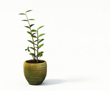 Modern Potted Green Plant-ID:513302491