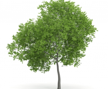 Modern Tree/shrub/grass-ID:561181513