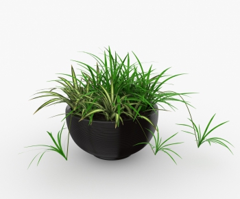 Modern Potted Green Plant-ID:953833496