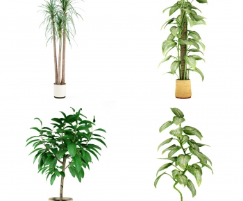 Modern Potted Green Plant-ID:270228229