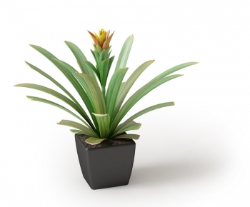 Modern Potted Green Plant-ID:489627717