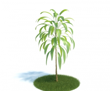 Modern Tree/shrub/grass-ID:606712993