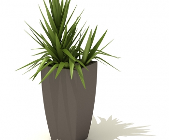 Modern Potted Green Plant-ID:650267447
