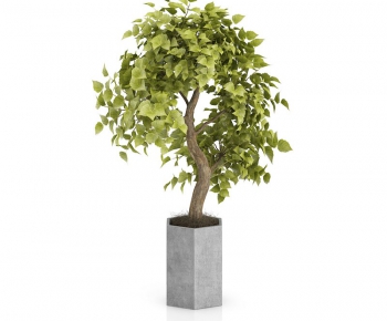 Modern Potted Green Plant-ID:159914145