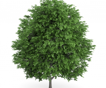 Modern Tree/shrub/grass-ID:324049171