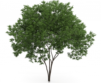 Modern Tree/shrub/grass-ID:173543164
