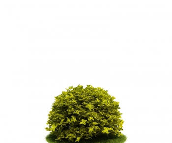 Modern Tree/shrub/grass-ID:664723982