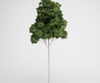 Modern Tree/shrub/grass-ID:187857454