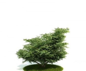 Modern Tree/shrub/grass-ID:435233616