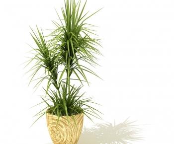Modern Potted Green Plant-ID:412728483