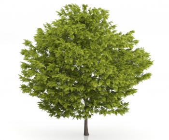 Modern Tree/shrub/grass-ID:653148792