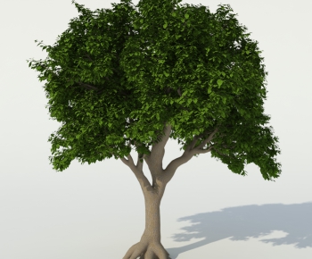 Modern Tree-ID:616290544