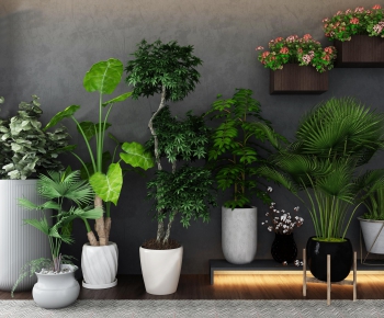 Modern Potted Green Plant-ID:526757334