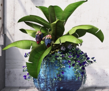 Mediterranean Style Idyllic Style Potted Green Plant-ID:764075812