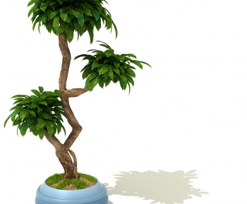 Modern Potted Green Plant-ID:393348532