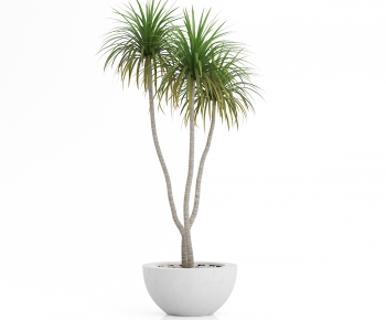 Modern Potted Green Plant-ID:542774113