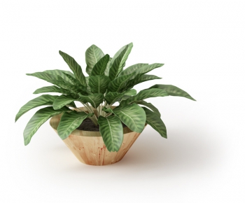 Modern Potted Green Plant-ID:466725321