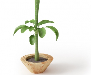 Modern Potted Green Plant-ID:504874345
