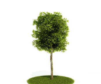 Modern Tree/shrub/grass-ID:528171912