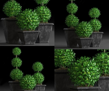 Modern Potted Green Plant-ID:722267617