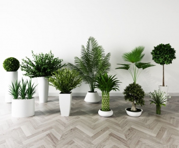 Modern Potted Green Plant-ID:280433253
