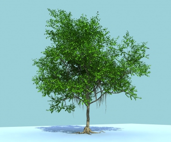 Modern Tree-ID:608453448