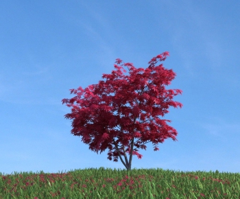 Modern Tree/shrub/grass-ID:220646665