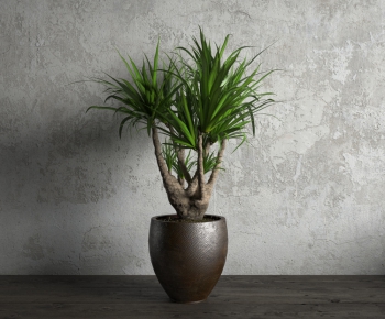 Modern Potted Green Plant-ID:830102755