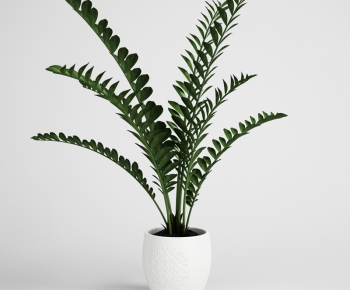 Modern Potted Green Plant-ID:377926891