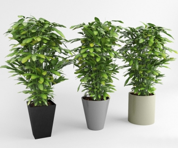 Modern Potted Green Plant-ID:447416872
