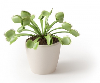 Modern Potted Green Plant-ID:470442996