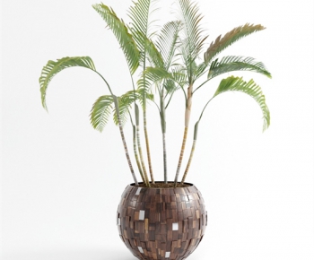 Modern Potted Green Plant-ID:227484175