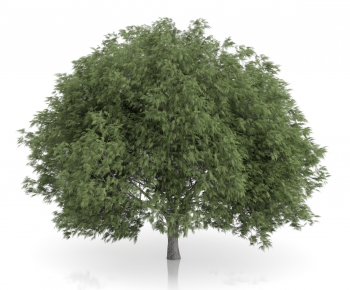 Modern Tree/shrub/grass-ID:407424847